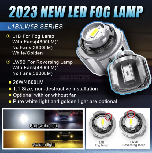d7rOC8zE6E.png